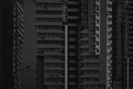 Noir (Image sourced from Unsplash)